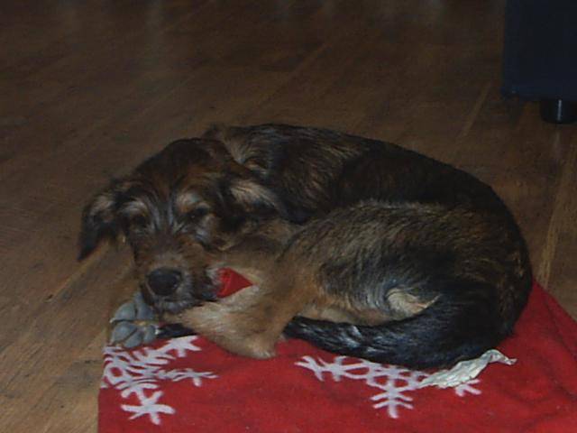 berger picard....summit - Berger Picard