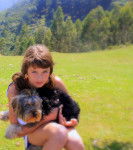 Mushu i Jo - Yorkshire Terrier Mâle (1 an)