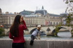 Une femme et son Yorkshire Terrier posant au bord de la Seine à Paris 