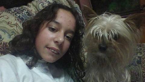 HAYDEE Y KAY - Yorkshire Terrier Mâle (2 ans)
