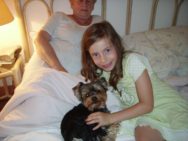 Mon été en CE1 - Yorkshire Terrier Mâle (5 ans)