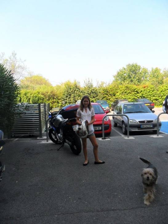bedie - Yorkshire Terrier (16 ans)