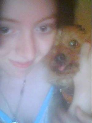jay - Yorkshire Terrier (8 ans)