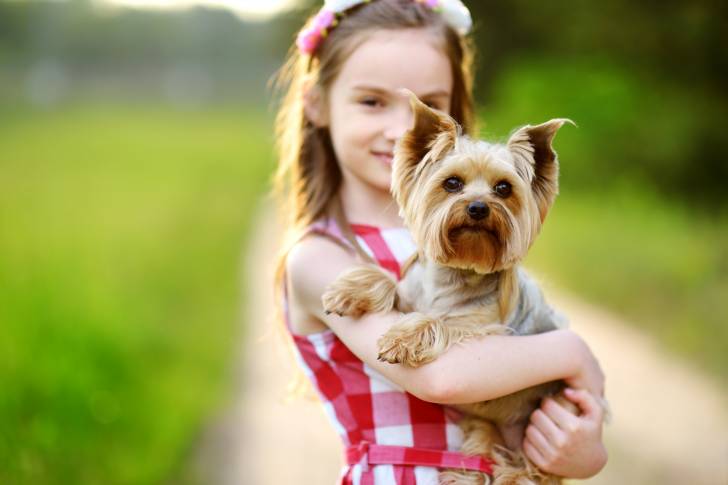 Une enfant tenant un Yorkshire Terrier dans les bras 