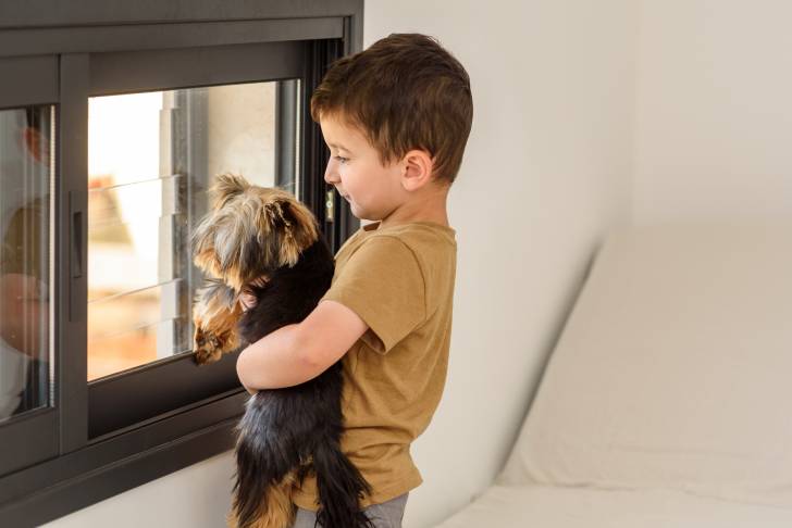 Jeune garçon avec un Yorkshire Terrier dans les bras regardant par la fenêtre.