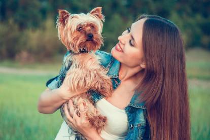 Un Yorkshire Terrier dans les bras de sa propriétaire