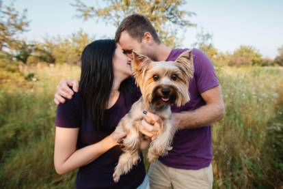 Un jeune s'enlaçant dans la nature tout en tenant dans leurs bras leur Yorkshire Terrier