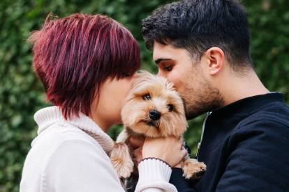 Un couple faisant un baiser à un Yorkshire Terrier