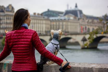 Une femme et son Yorkshire Terrier sur un pont au-dessus de la Seine à Paris