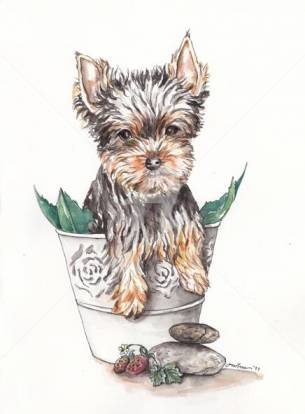 Tableau du peintre français Butterfly Moons représentant un Yorkshire Terrier dans un pot