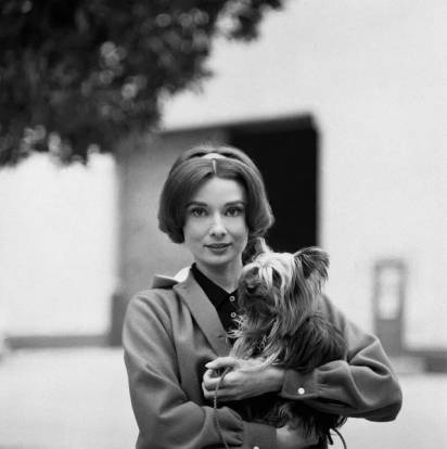 Audrey Hepburn et son Yorkshire Terrier Mr Famous 