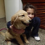 Dana - Golden Retriever (4 mois)