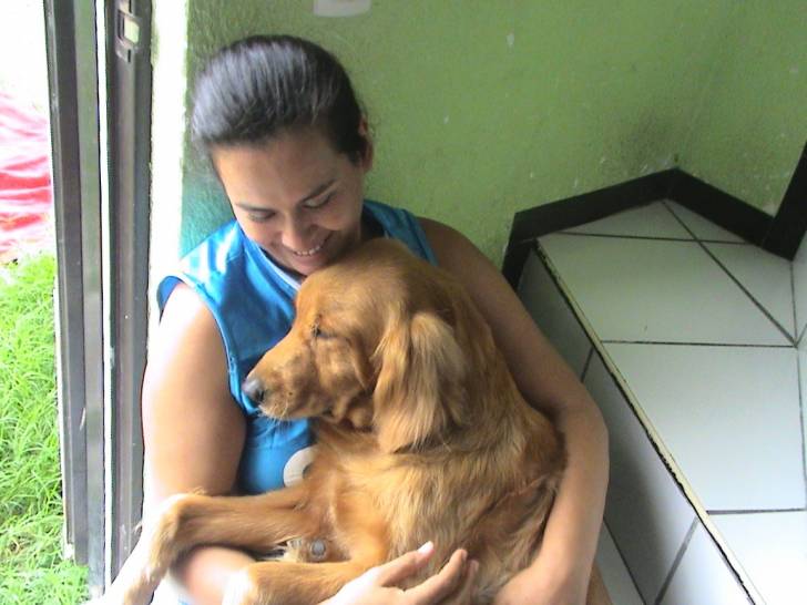 MANDDY - Golden Retriever (4 ans)
