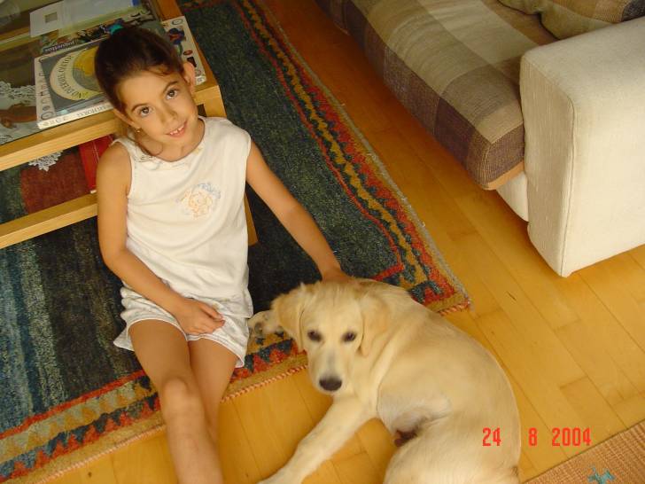 Lucas - Golden Retriever Mâle (1 an)