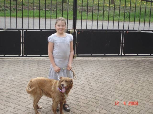 canone - Golden Retriever (3 mois)