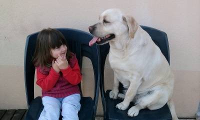 Vica - Golden Retriever (5 ans)