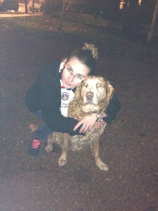 Rouky - Golden Retriever Mâle (15 ans)