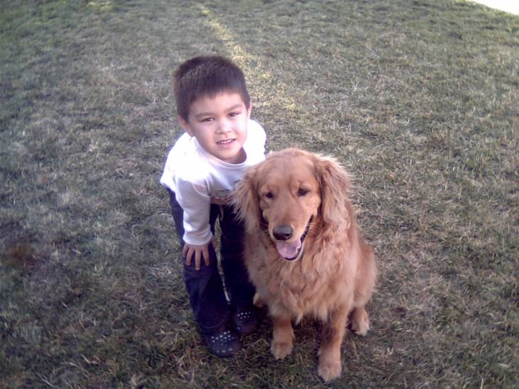 Me and My doggie - Golden Retriever (5 ans)