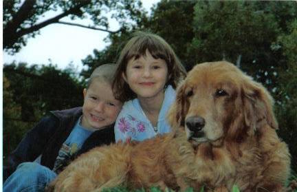 Chance - Golden Retriever Mâle (Autre)