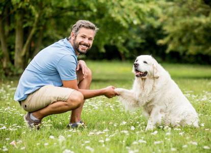 Un comportementaliste canin étudie un Golden Retriever