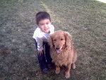 Me and My doggie - Golden Retriever Femelle (5 ans)