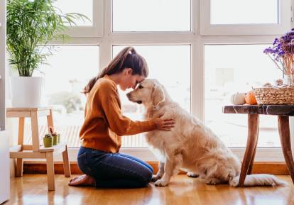 Une femme et son Golden Retriever se tiennent front contre front dans un appartement