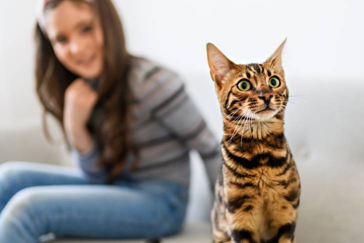 Un Bengal assis à côté d'une petite fille sur un canapé