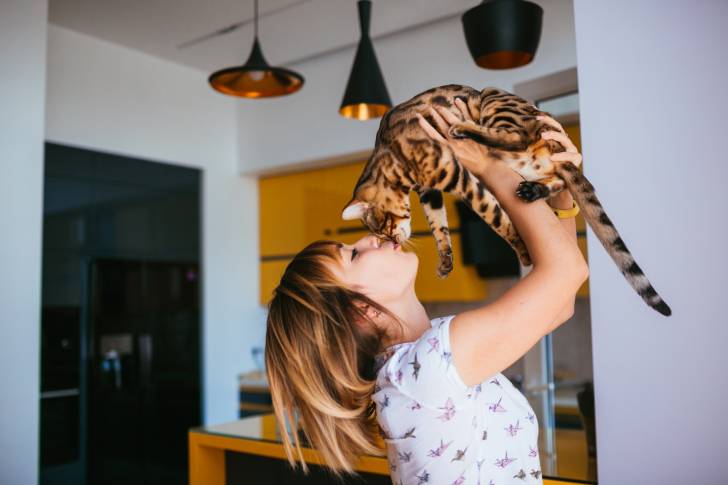Un Bengal dans les bras de sa propriétaire