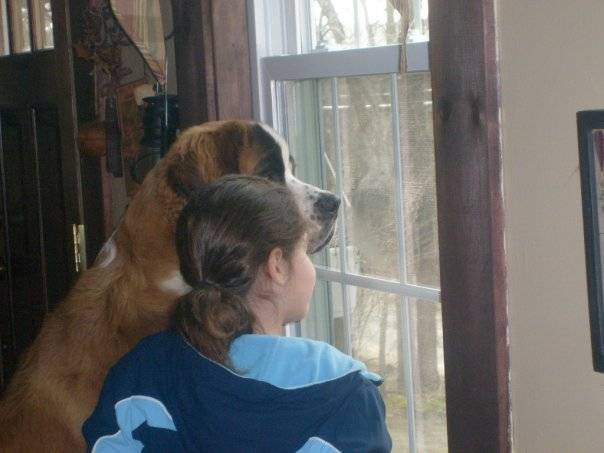 maddy - Chien Courant de Montagne du Monténégro Femelle (18 ans)