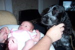 Macy and me as a Baby - Cocker Anglais (2 ans)