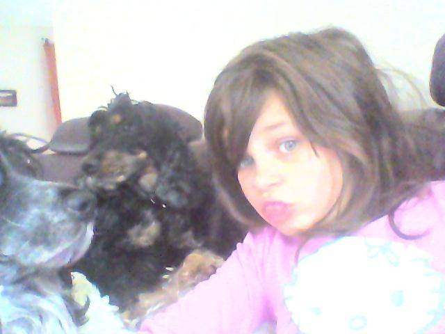 Dumbo Fripon (il est pas sur la photo) et baghera - Cocker Anglais Mâle (4 ans)