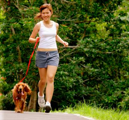 Le Cocker Anglais est-il adapté pour une personne sportive ?