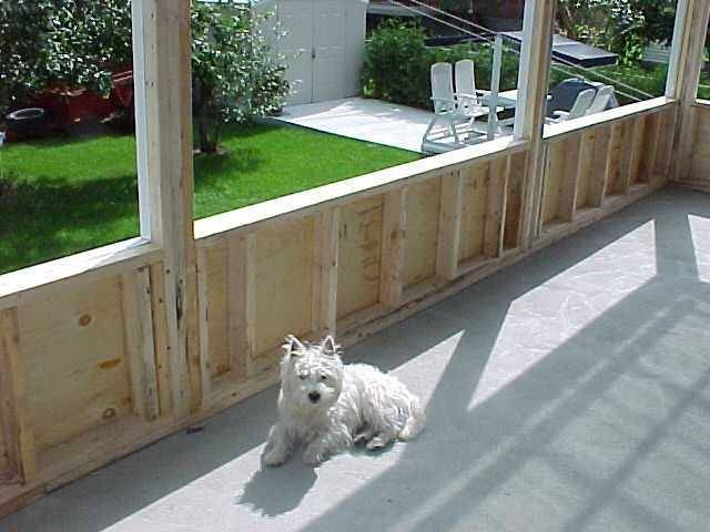 Bain de soleil de Mo - West Highland White Terrier