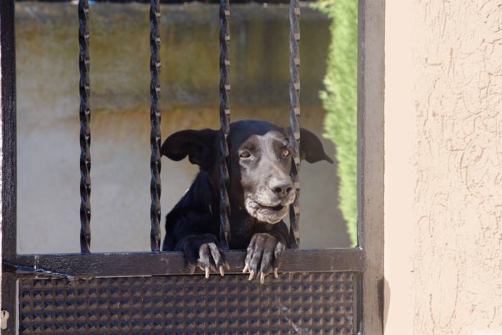 Photo Berger de Majorque