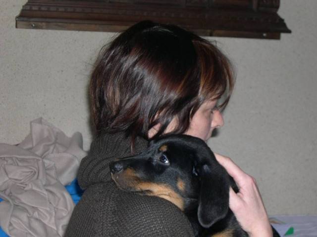 Dorya - Beauceron (9 mois)
