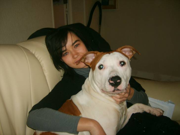 Eros - American Staffordshire Terrier Mâle (8 mois)