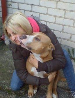 Nel con mi hermana - American Staffordshire Terrier Mâle (3 ans)