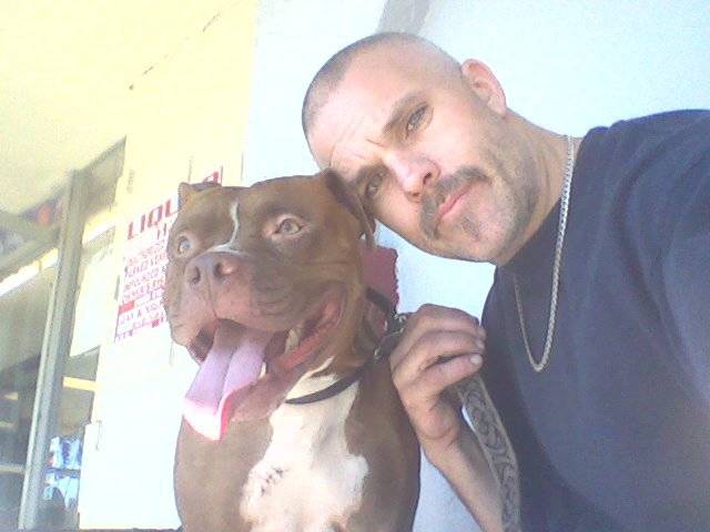 me and nicky r.i.p. - American Staffordshire Terrier (5 ans)