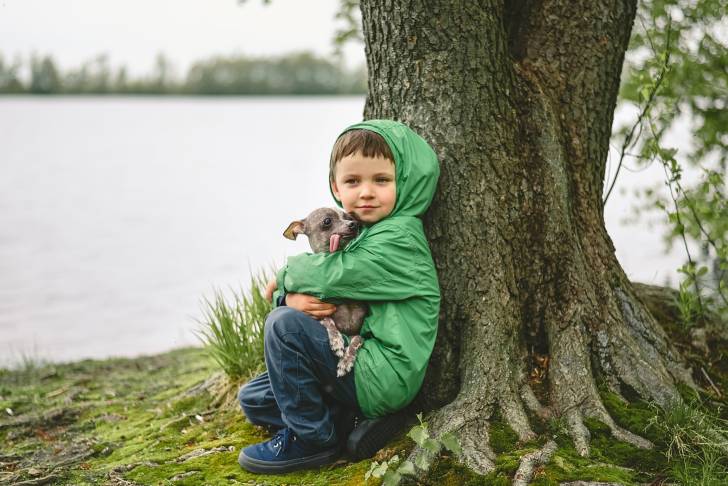 Un Xoloitzcuintle dans les bras d'un petit garçon