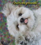 luky - Dalmatien Mâle (1 mois)