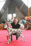 Expo Amiens - Dalmatien