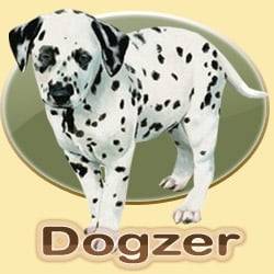 dogzer - Dalmatien Mâle (10 mois)