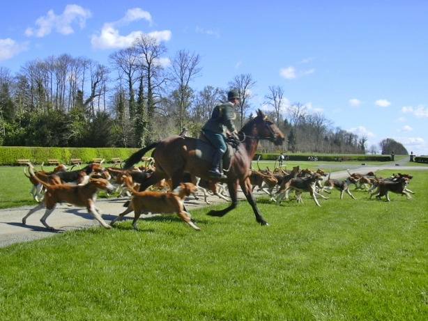 Photo Français Tricolore