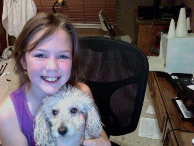 reilly andromeo - Caniche Mâle (5 ans)