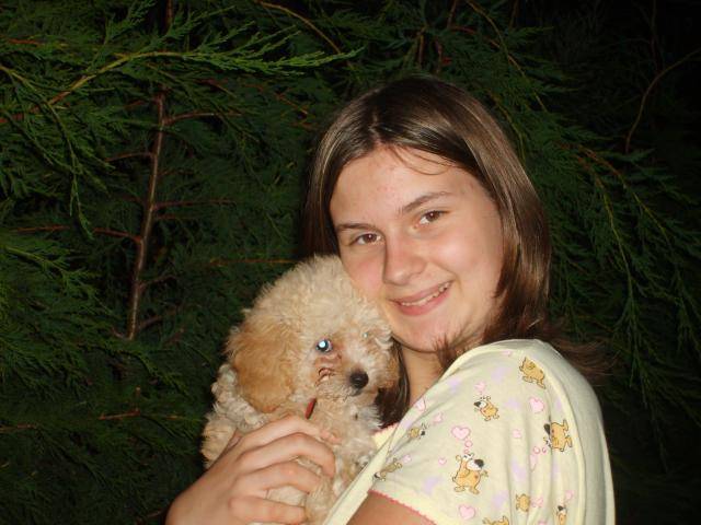 CANICHE ~~~ CLEMENTINE - Caniche