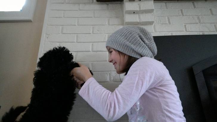 Pepper - Caniche (3 mois)