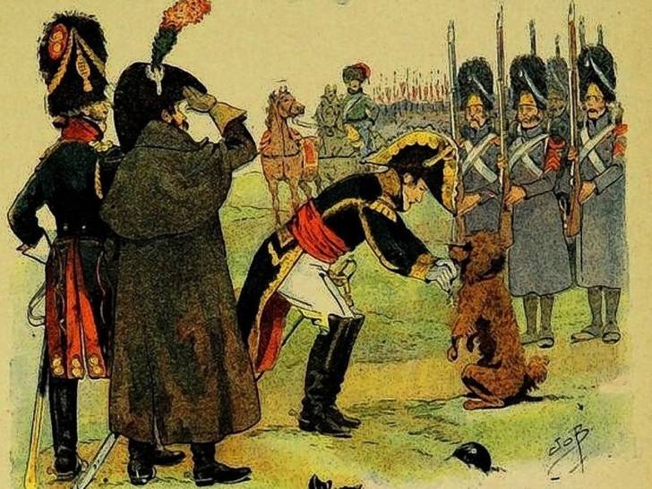 Moustache, chien au cœur des guerres napoléoniennes