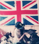 Poker y yo :3 - Podenco d'Ibiza Mâle (1 an)