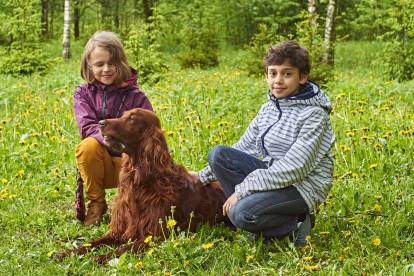 Un Setter Irlandais allongé avec deux enfants