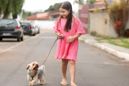 Une petite fille promenant un Shih Tzu dans la rue